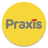icon Praxis 15.4.0
