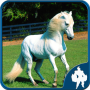 icon Horses Jigsaw Puzzles for Samsung Galaxy J2 DTV