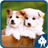 icon Dog Jigsaw Puzzles 1.9.18