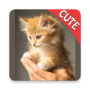 icon Cute Cats Memory Matching Game