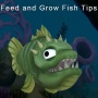 icon fish feed and grow Tips for Sony Xperia XZ1 Compact