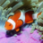 icon Underwater Jigsaw Puzzles 2.10.11