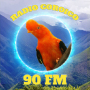 icon Radio Coroico