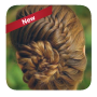 icon Easy braid hairstyles