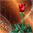 icon Roses Live Wallpaper 2.8