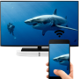 icon Screen Mirroring Pro TV for Sony Xperia XZ1 Compact