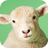 icon Sheep Sounds 1.0