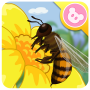 icon Bee - Insect World