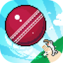 icon Mighty Cricket