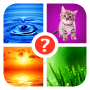 icon Find the word! ~ 4 pics 1 word for Samsung Galaxy Grand Duos(GT-I9082)