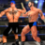 icon Ww Smack wrestling Games for Samsung S5830 Galaxy Ace