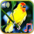 icon Birds sounds ringtones 1.3
