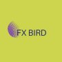 icon FX BIRD