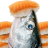 icon com.HelloFish.Salmon 1.9