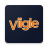 icon Viigle 5.08