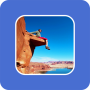 icon Интересно и познавательно for Samsung Galaxy Note 10 1