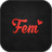 icon Fem 5.1.3