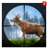 icon Deer Hunter 1.3