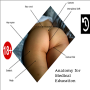 icon Buttocks Anatomy for Medical Education