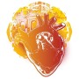 icon Heart Failure 2022 for Sony Xperia XZ1 Compact