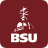 icon BSU Mobile 2021.02.0200 (build 10202)