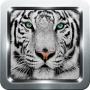 icon White Tiger Wallpapers for iball Slide Cuboid