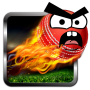 icon Cricket Game: Angry Style