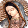 icon Virgen de Guadalupe