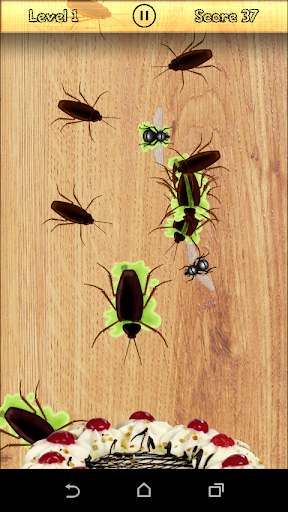 Fly Beetle Smasher, free game