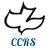 icon CCRS 5.64.14