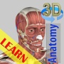icon 3D Bones and Organs (Anatomy) for iball Slide Cuboid