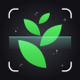 icon Plant Identify