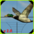 icon Duck Hunter 2.0
