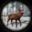 icon Jungle Deer Hunter 2.5.0.10