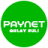 icon PAYNET Qulay Pul 3.0.8