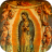 icon La Hermosa Guadalupe 1.0