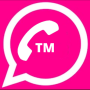 icon TM Version