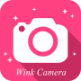 icon Wink Kamera