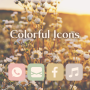 icon Colorful Icons
