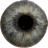 icon Eye Diagnosis 1.4.6