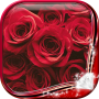 icon Red Roses Live Wallpaper