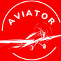 icon Rich Aviator Big for Samsung Galaxy Note 10 1