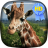 icon Giraffe Hidden Capture Live Wallaper 2.0