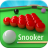 icon Snooker Online 15.9.3