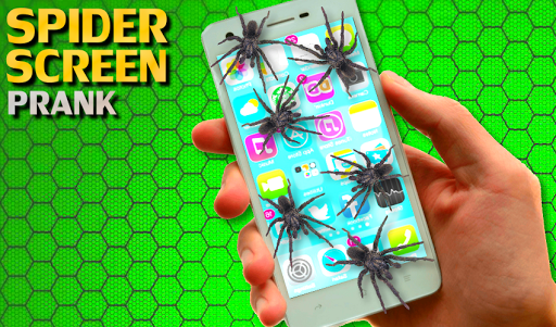 Spider on Phone Scare Prank