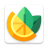 icon Lemon VPN 95