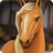 icon HorseHotel 1.8.3.155