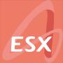 icon ESX