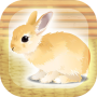 icon Rabbit