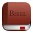 icon Bibel 1.0